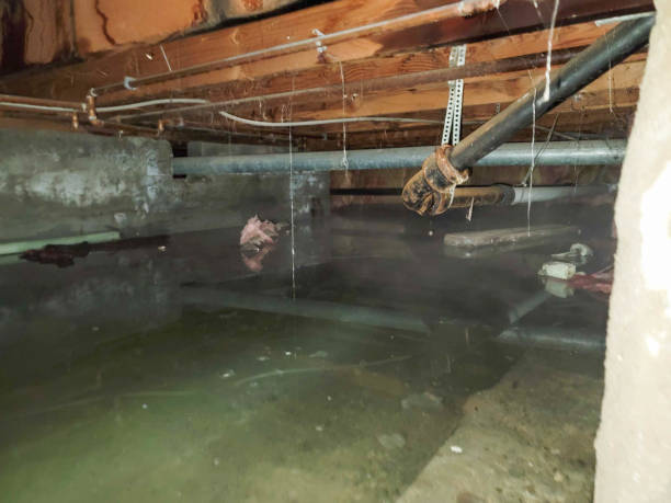 Best Residential water damage restoration  in Maben, MS