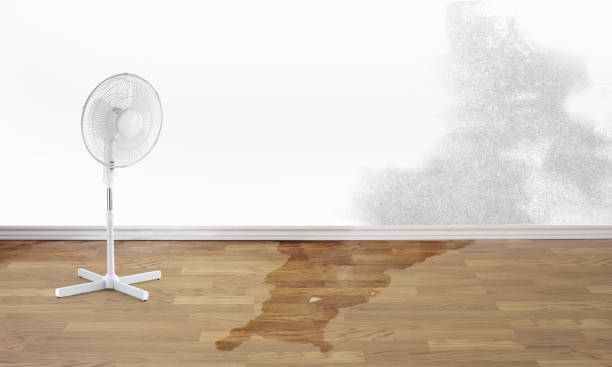 Best Emergency water damage restoration  in Maben, MS