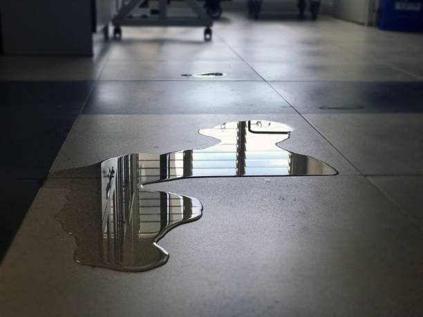 Best Water damage repair service  in Maben, MS