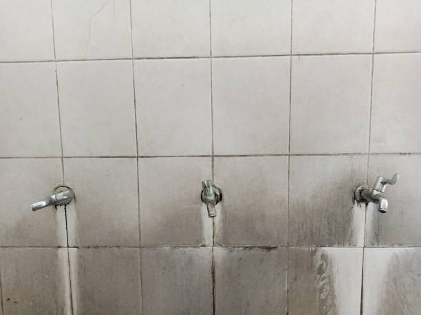 Best Professional water damage repair  in Maben, MS