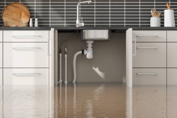 Best Water damage restoration near me  in Maben, MS