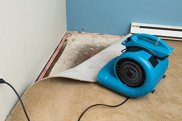 Best Water damage cleanup near me  in Maben, MS
